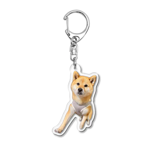 あのぉ、すみませんな柴犬 Acrylic Key Chain