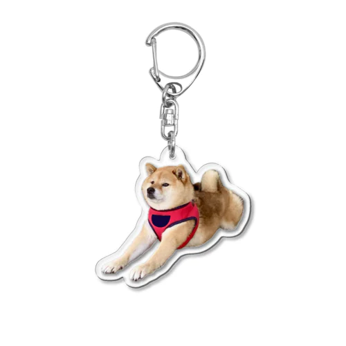 ぬーーーーんな柴犬 Acrylic Key Chain