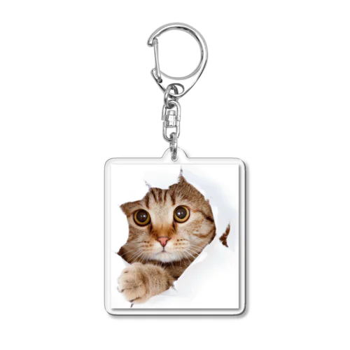 TOBIDASU NECO Acrylic Key Chain