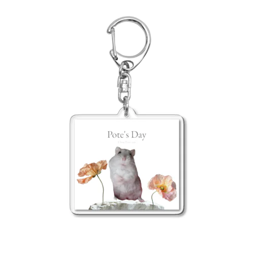 Potet_life Acrylic Key Chain