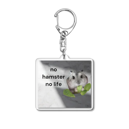 Potet_life Acrylic Key Chain