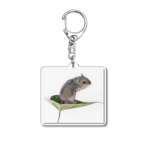 Potet_life Acrylic Key Chain