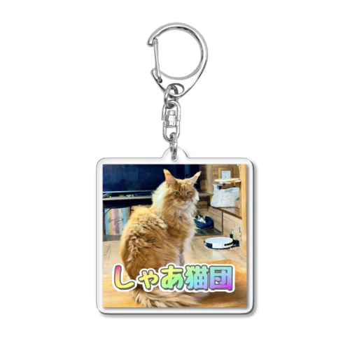 チャチャ（しゃあ猫団） Acrylic Key Chain