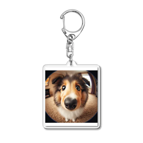 collie Acrylic Key Chain