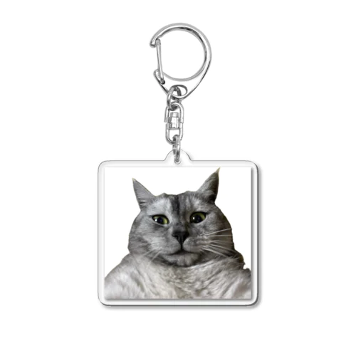 義実家のねこ Acrylic Key Chain