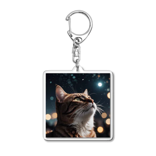 星を見る猫 Acrylic Key Chain