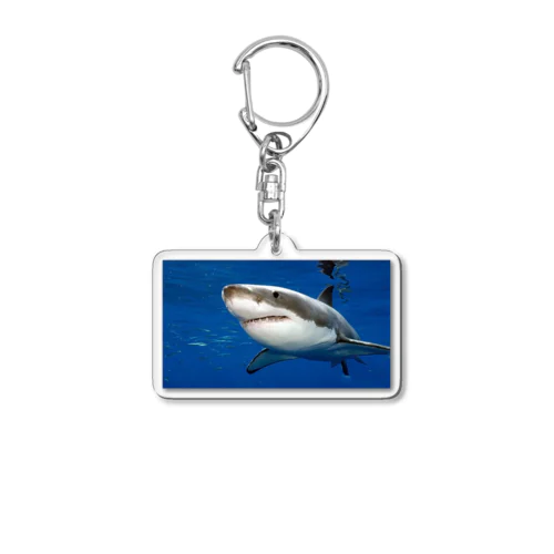 海のキングホウジロサメが登場 Acrylic Key Chain