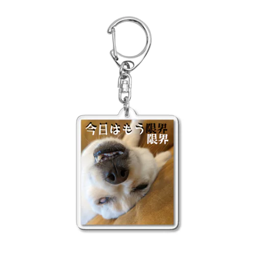 今日はもう限界 Acrylic Key Chain