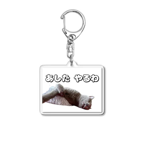 怠惰なねこ（おでぶver.） Acrylic Key Chain