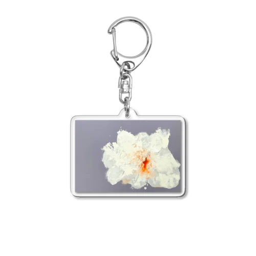 AO Acrylic Key Chain