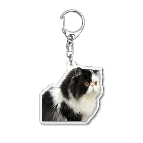 真顔のギズモ猫 Acrylic Key Chain