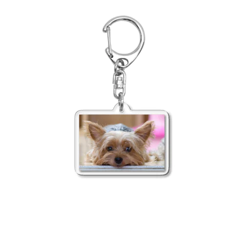 食事をまつ犬 Acrylic Key Chain