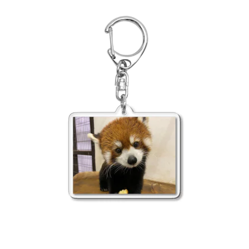 レッサーパンダ Acrylic Key Chain