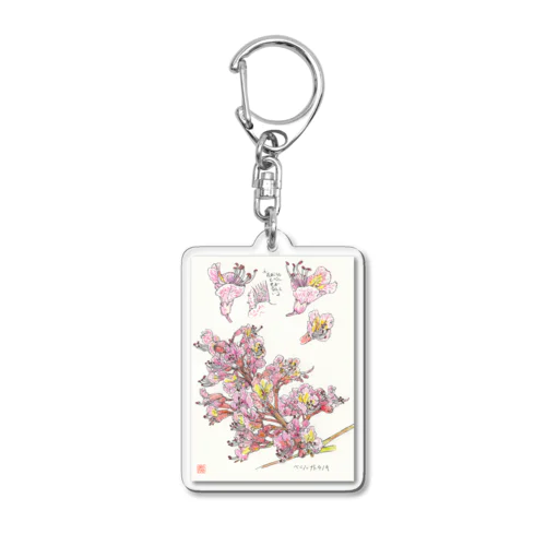 博物画　ベニバナトチノキの花のキーホルダー Acrylic Key Chain