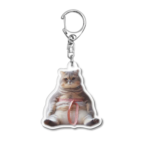 ダイエット中の猫 Acrylic Key Chain