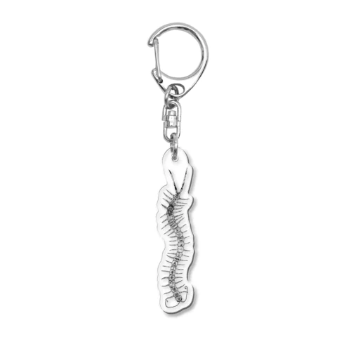 centipede keyring Acrylic Key Chain