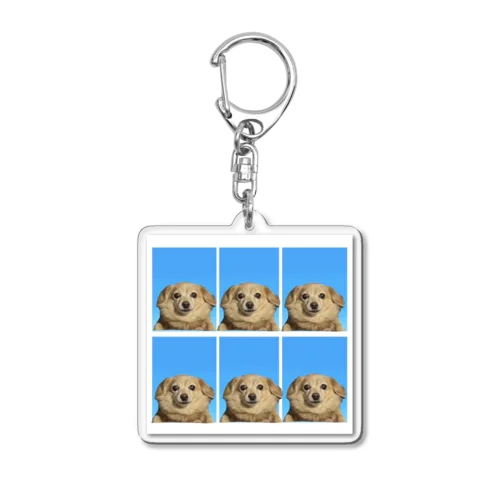 みんななかよし (friendly dogs) Acrylic Key Chain