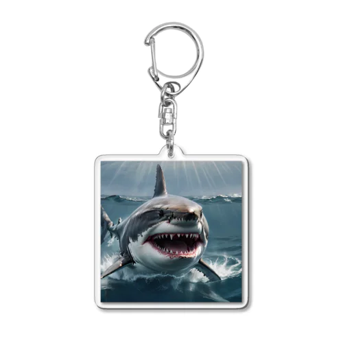 サメ Acrylic Key Chain