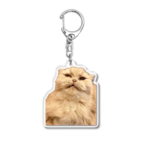 怒る猫 Acrylic Key Chain