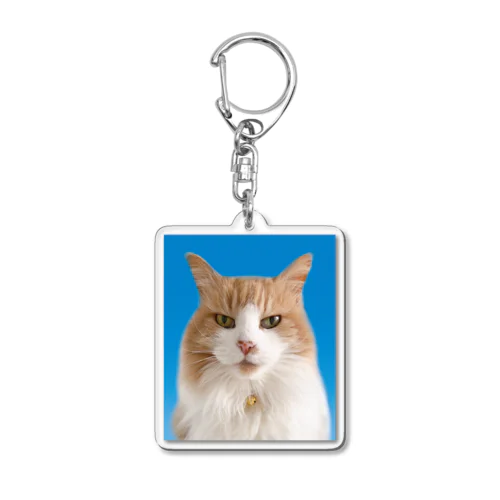 愛猫の証明写真単体 Acrylic Key Chain