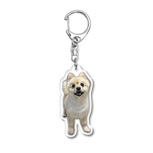 ポメラニアンのポメくん Acrylic Key Chain