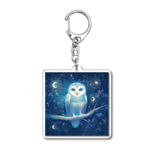 フクロウシリーズ１ Acrylic Key Chain