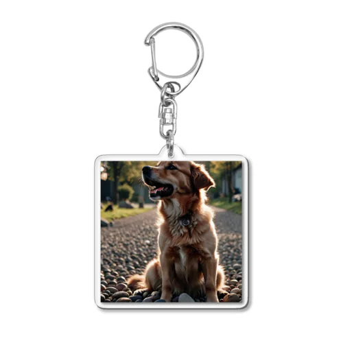 日の影に隠れる犬 dog sunshin opposite Acrylic Key Chain