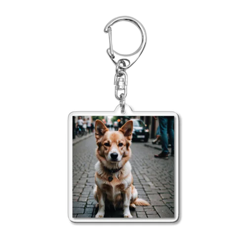 パワフルとは対照的な風貌を持つ可愛らしい犬がカメラ目線！ Acrylic Key Chain