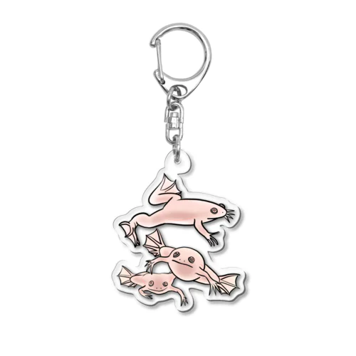 連なるアフリカツメガエル(アルビノ) Acrylic Key Chain