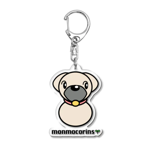 monmocorins Acrylic Key Chain