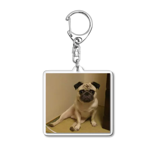 Pugのぱぐお Acrylic Key Chain