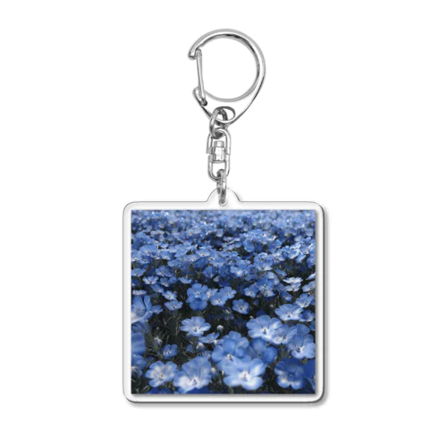 水色の小さな花　ネモフィラ Acrylic Key Chain