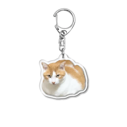 チームトラまる2 Acrylic Key Chain