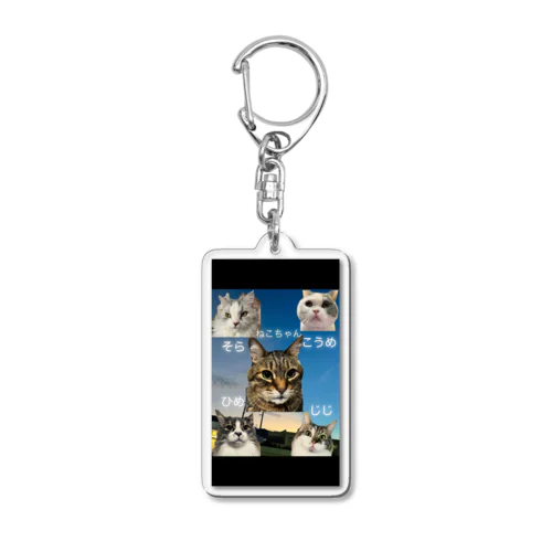 ねこそらこうめひめじじ Acrylic Key Chain