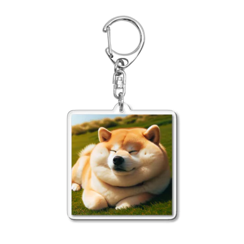 くつろぎすぎた柴犬 Acrylic Key Chain