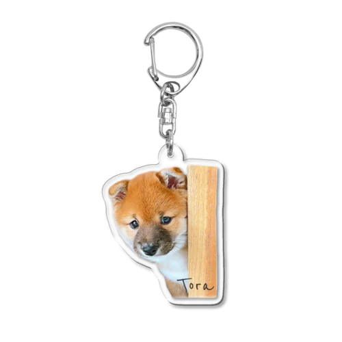 ひょっこりチビとら Acrylic Key Chain