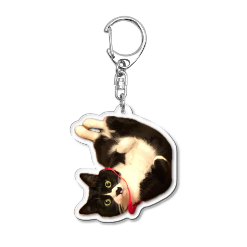 ヘソ天徳ちゃん Acrylic Key Chain