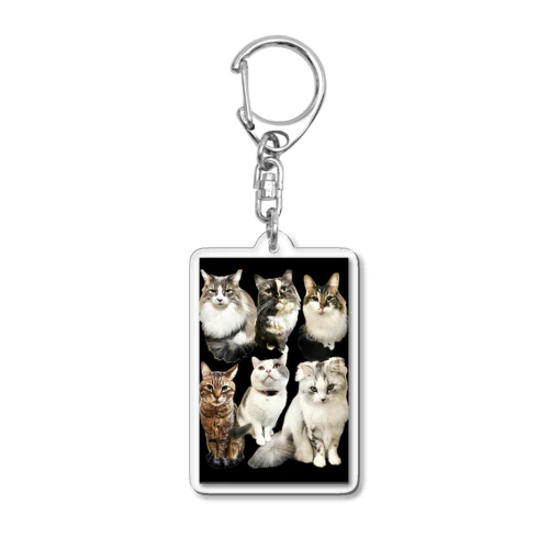 ねこそらこうめひめじじしずく Acrylic Key Chain