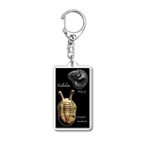 三葉虫(trilobite) Acrylic Key Chain