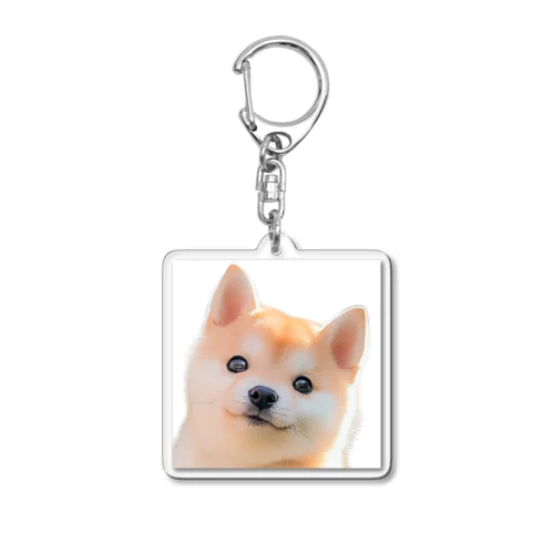 柴犬の子犬 Acrylic Key Chain