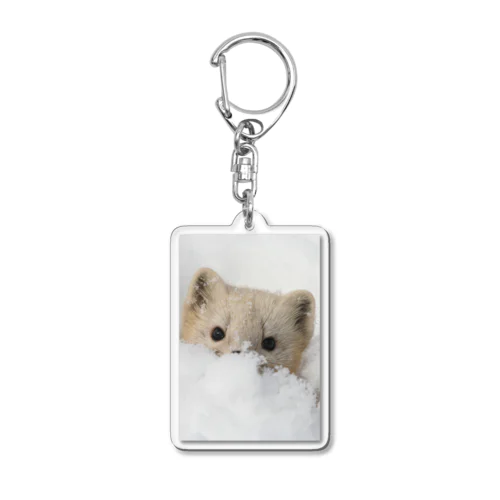 【#癒される】サロベツのエゾクロテン Acrylic Key Chain