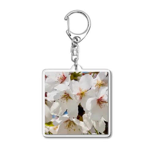 桜🌸 Acrylic Key Chain