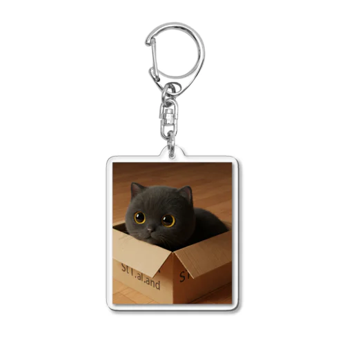 クリクリおめめの黒にゃん Acrylic Key Chain