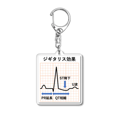 さみーチャンネルグッズ Acrylic Key Chain