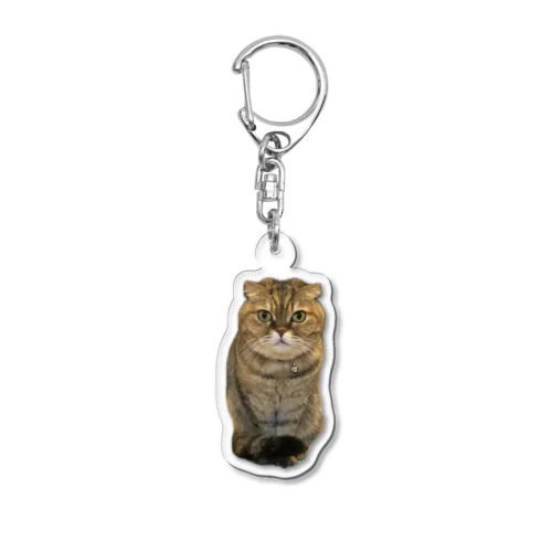どこでも小梅 Acrylic Key Chain