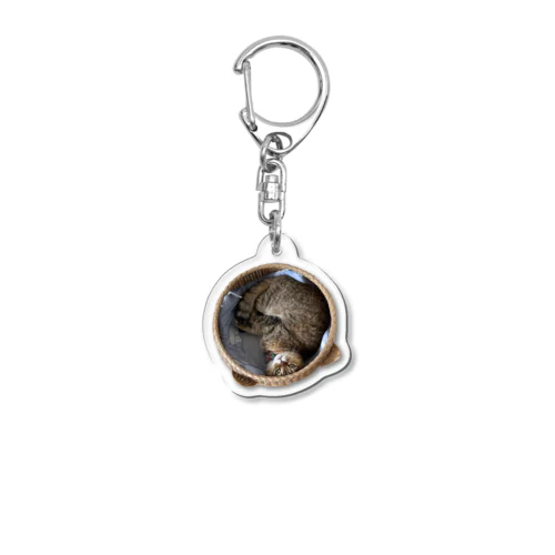 籠入りネコ Acrylic Key Chain
