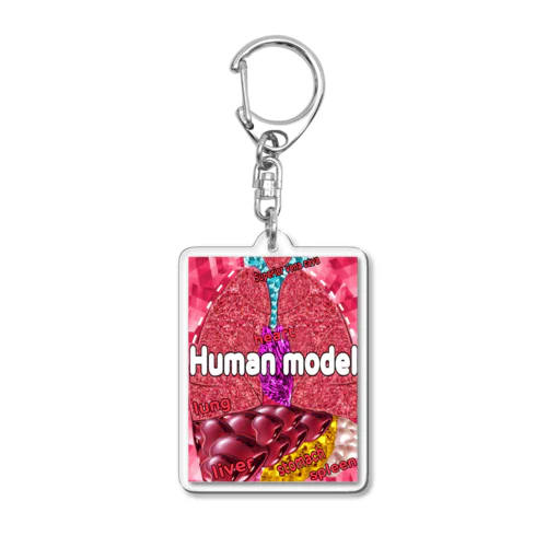 人体模型 Acrylic Key Chain