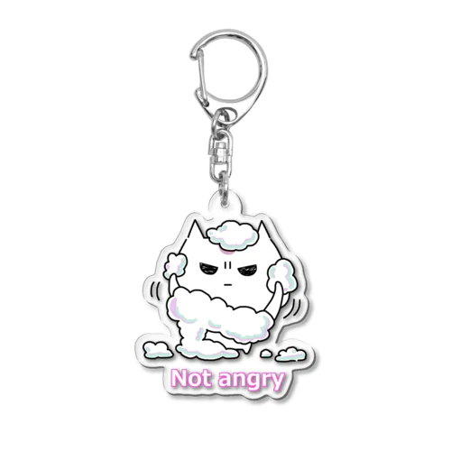 Not angry vol.5 Acrylic Key Chain