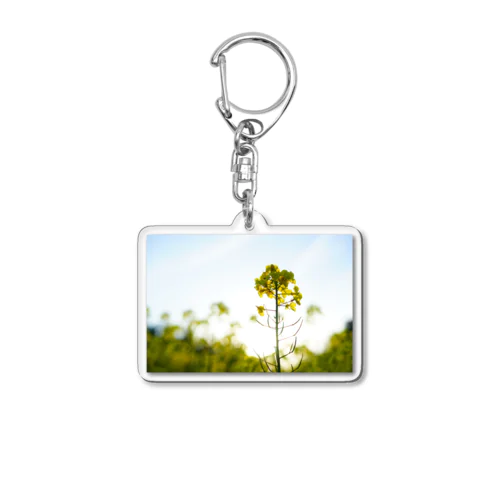 逆光菜の花 Acrylic Key Chain