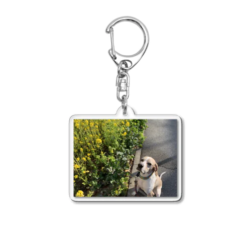 flower sutin Acrylic Key Chain